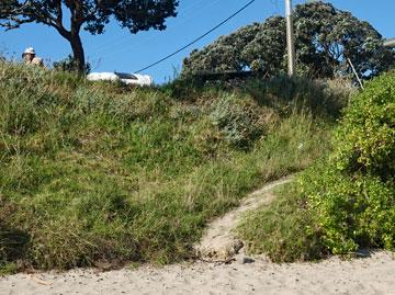 Beach access from the reserve