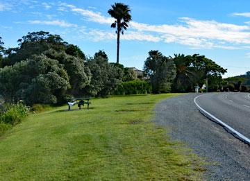 Roadside reserve parking