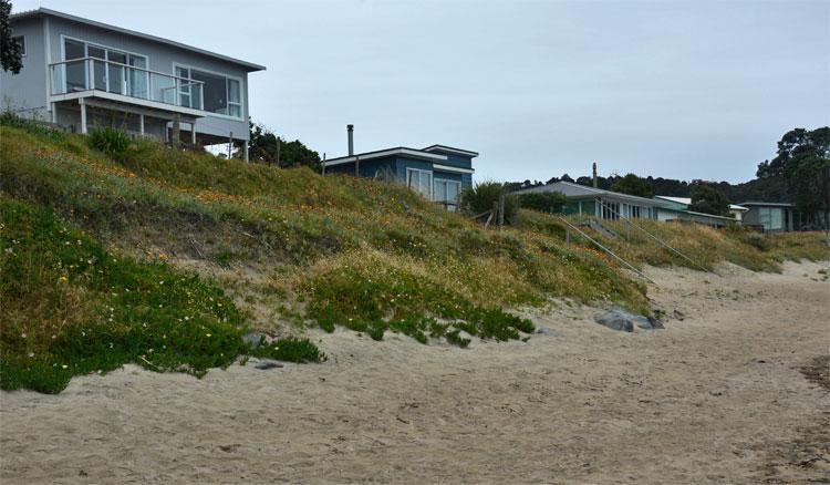 Beachfront homes