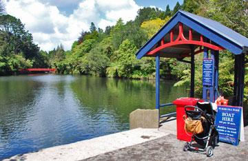 The lake in Pukekura domain