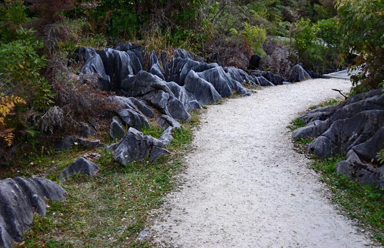 Walking track out to the Hawkes Lookout