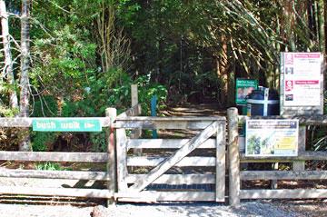 Entrance to the forest walk