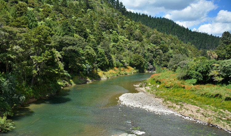 The Mangakahia River