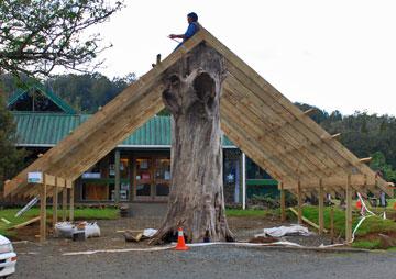 Entrance to the Visitor Centre