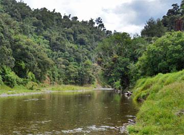 The Waipapa River