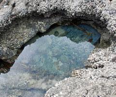 Rock pool accessible at low tide