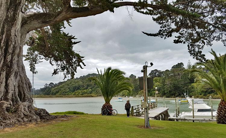 Jetty and access to the river