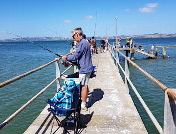 Fishing from the pier