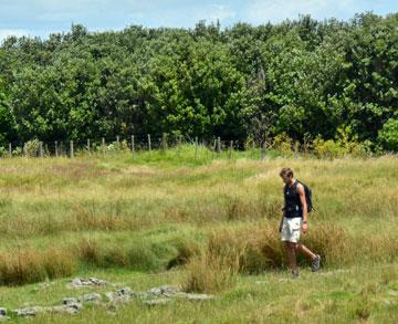 Doing the coastal walk