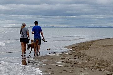 Walking along the beach