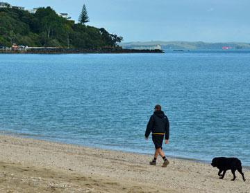 Morning walk along the beach