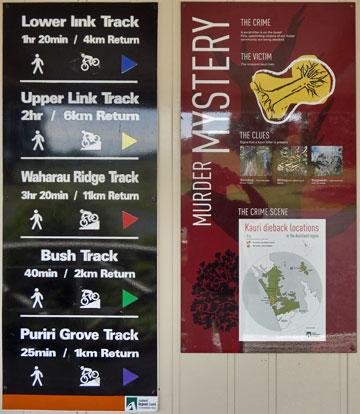 Posters about the walks and preserving the Kauri trees