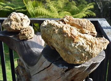 Natural kauri gum, as it would have been found