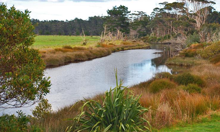 The river running alongside the campsite