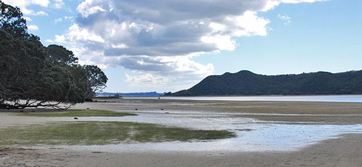 Houhora harbour entrance accessed from the camp grounds