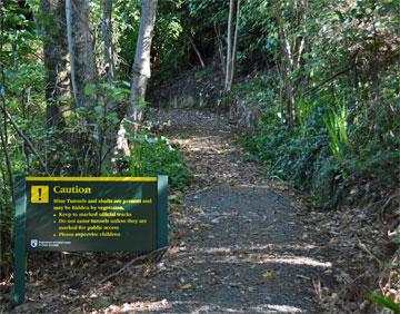 Walking track near the entrance to the campsite