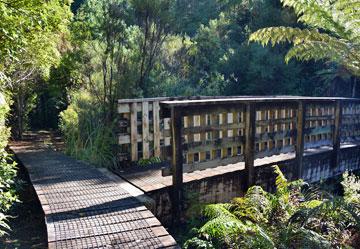 Bridge on the Jasper track walk