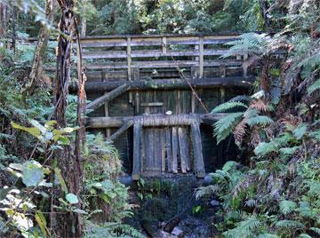 The model dam on the Kahikatea walk