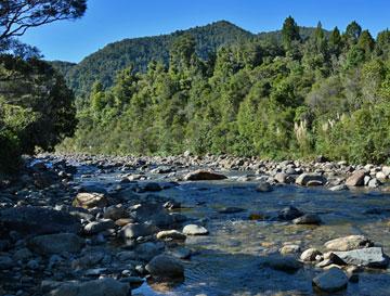 The Kaereranga River