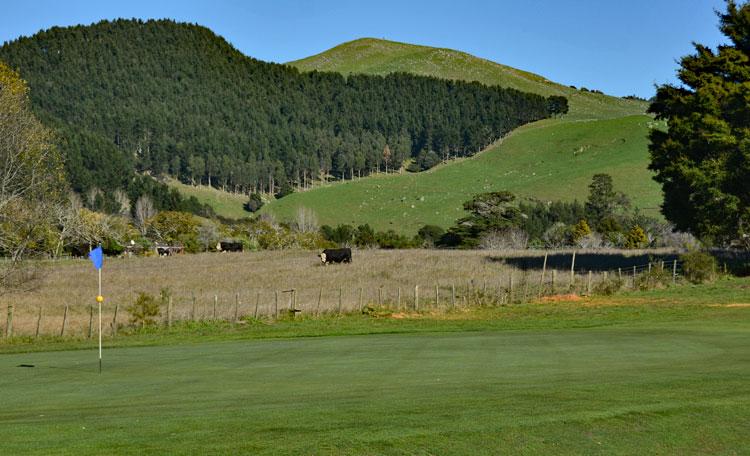 View over the golf course