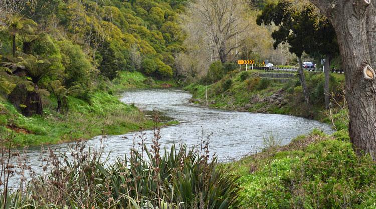 The Ohinemuri River flowing through the Karahake Gorge