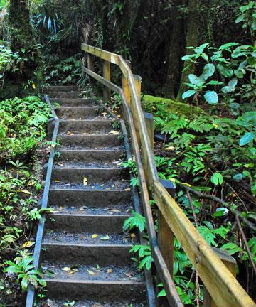 The stairs leading to the bottom of the falls