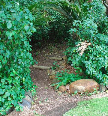 Entrance to the bush walk way