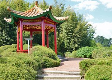 Chinese Pagoda