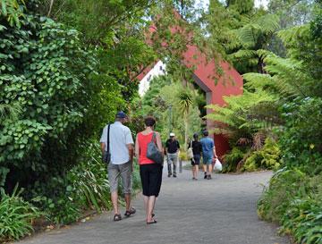 Exploring a garden walkway