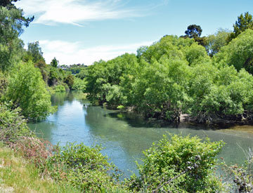 The Waikato River flowing around Cherry Island
