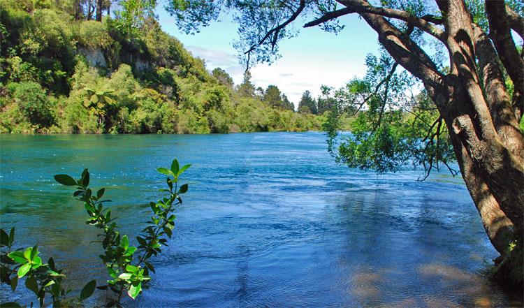 The Waikato river