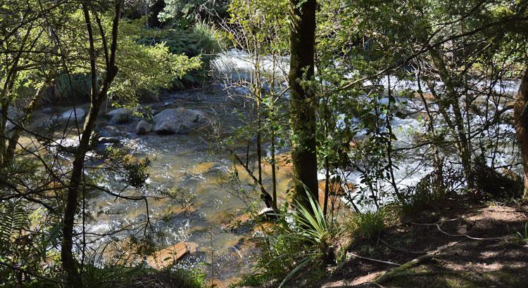 The Waipunga River