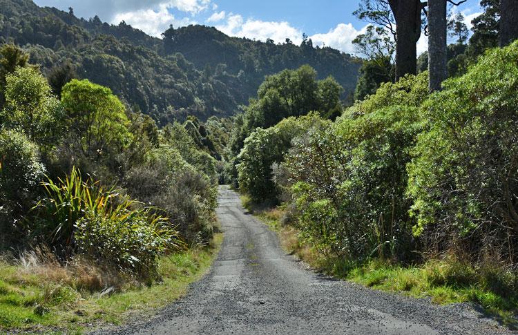 Driveway to the Waipunga river parking area