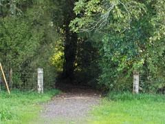 Start of the bush walk to the caves