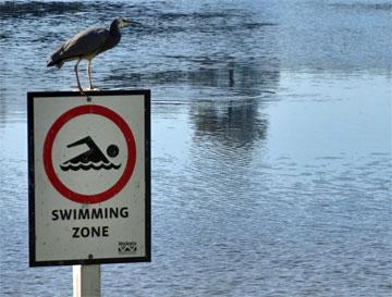 Swimming area sign