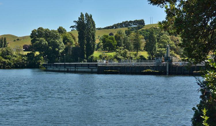 Overlooking Lake Karapiro