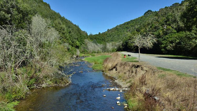 The Mangaokewa Gorge river