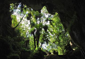 Looking through the natural bridge