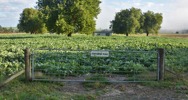 The domain area planted in a commercial crop