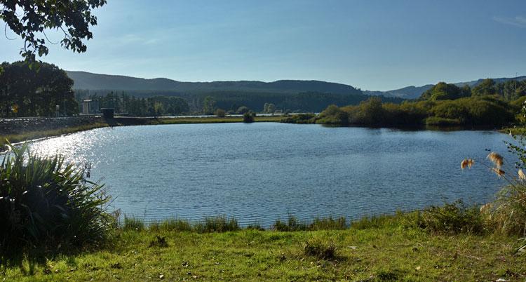 View over the lake