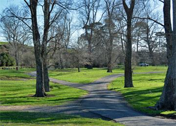 Driveway into the reserve, with a large turning circle