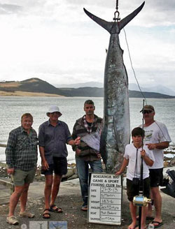143.6 kg marlin caught just outside the Hokianga harbour in March, 2013