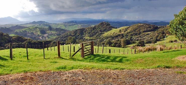 View out over the South Hokianga countryside