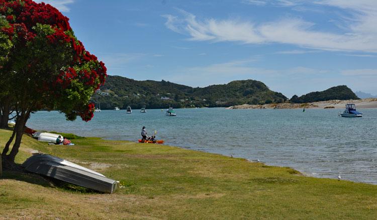 Mangawhai Reserve