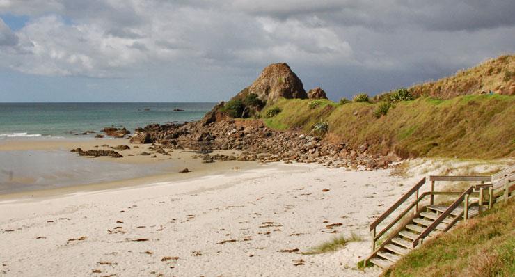 White sand beach at Te Arai Point