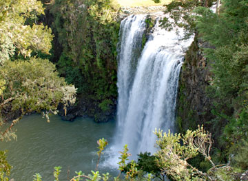 View of the Whangarei Falls