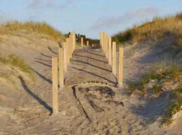 One of the beach access ways
