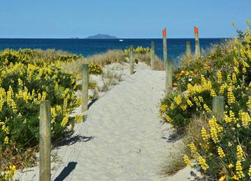 Beach walkway