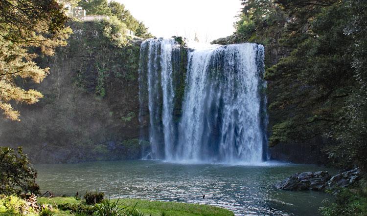 The Whangarei Falls