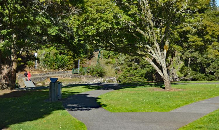 Beginning the walk to the Whangarei Falls